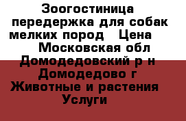 Зоогостиница (передержка)для собак мелких пород › Цена ­ 300 - Московская обл., Домодедовский р-н, Домодедово г. Животные и растения » Услуги   